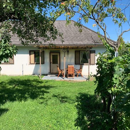 Urlaub Im Weingarten Winten  Buitenkant foto