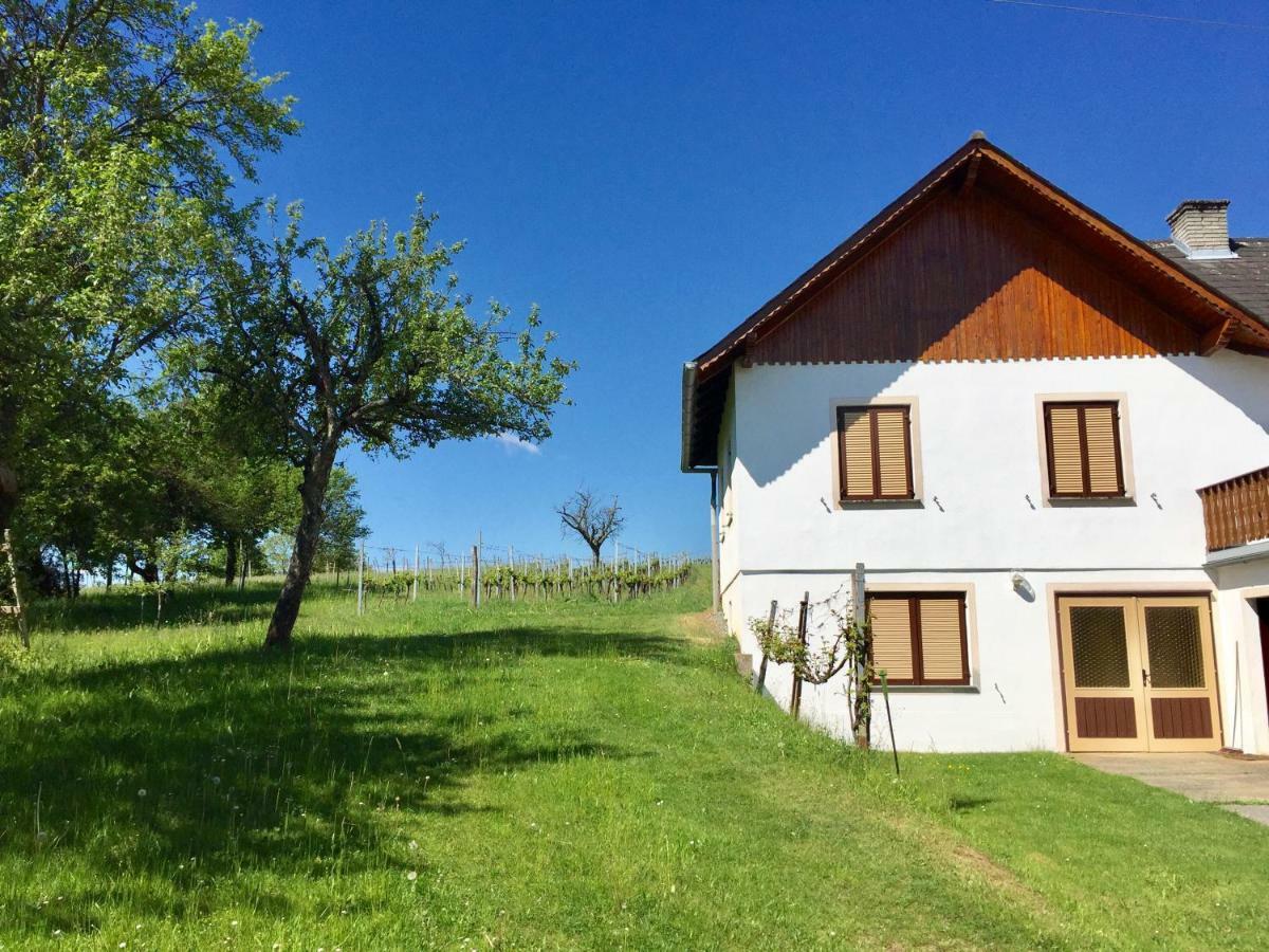 Urlaub Im Weingarten Winten  Buitenkant foto