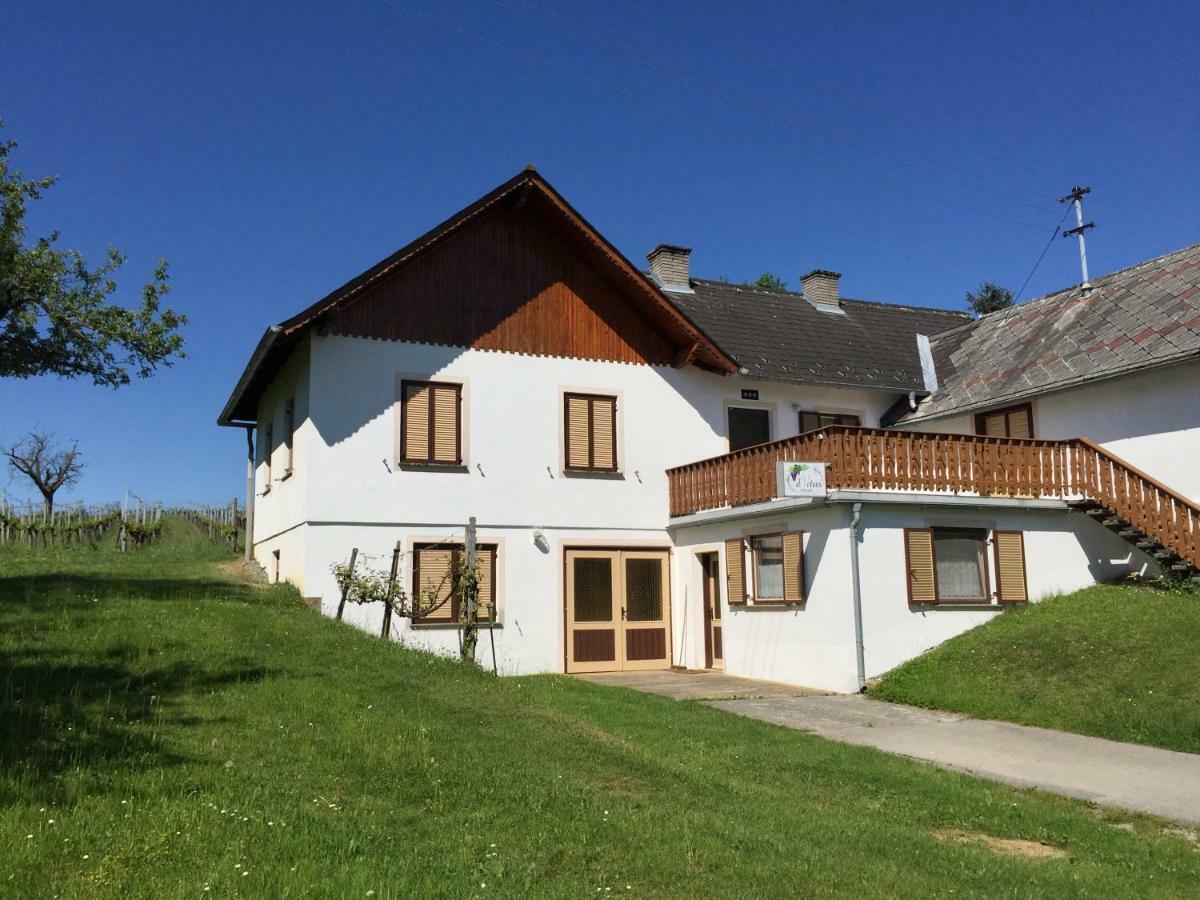 Urlaub Im Weingarten Winten  Buitenkant foto