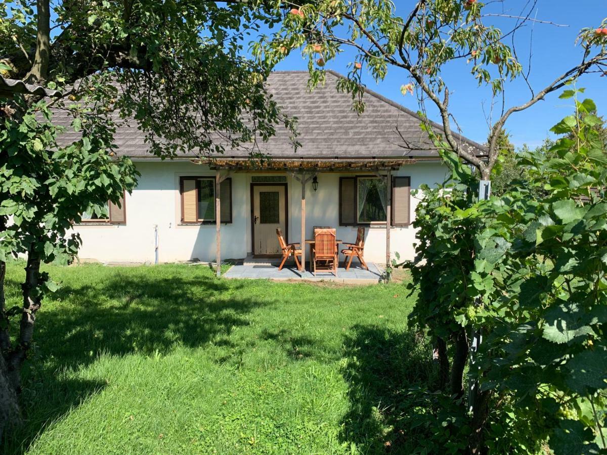 Urlaub Im Weingarten Winten  Buitenkant foto