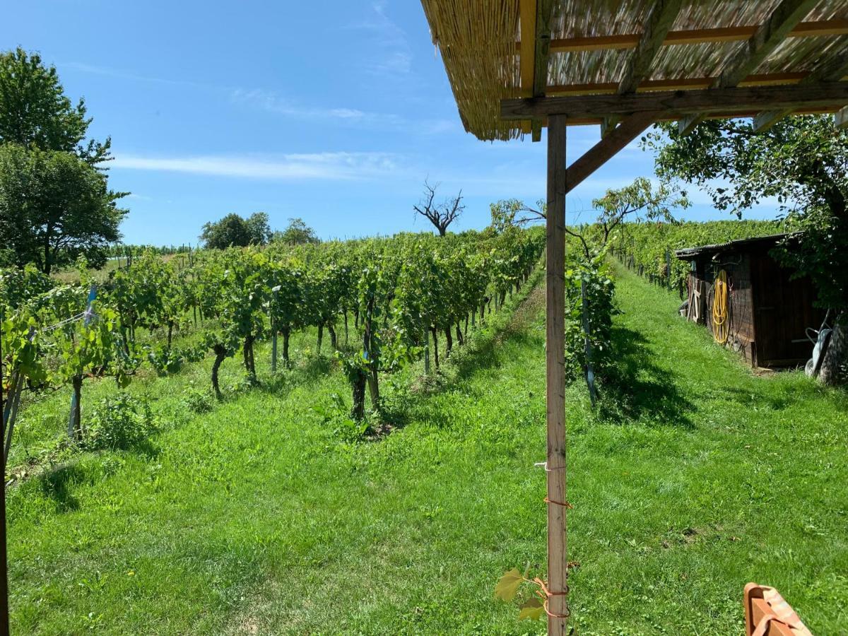 Urlaub Im Weingarten Winten  Buitenkant foto