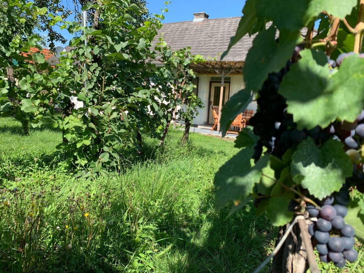 Urlaub Im Weingarten Winten  Buitenkant foto