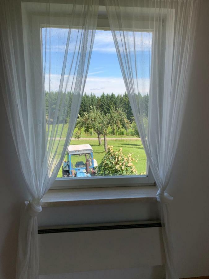 Urlaub Im Weingarten Winten  Buitenkant foto
