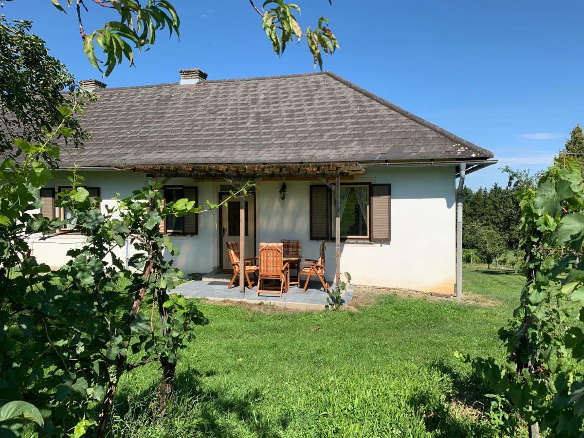 Urlaub Im Weingarten Winten  Buitenkant foto